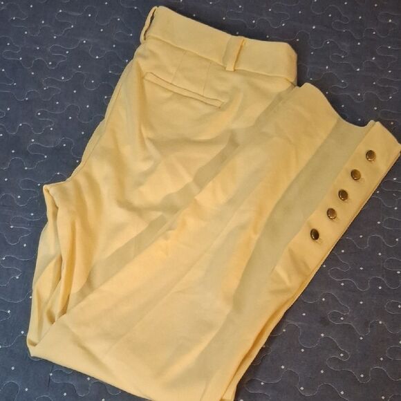 Talbots Hamshire Ankle pants with Button Detail size 4 petite - Picture 1 of 5